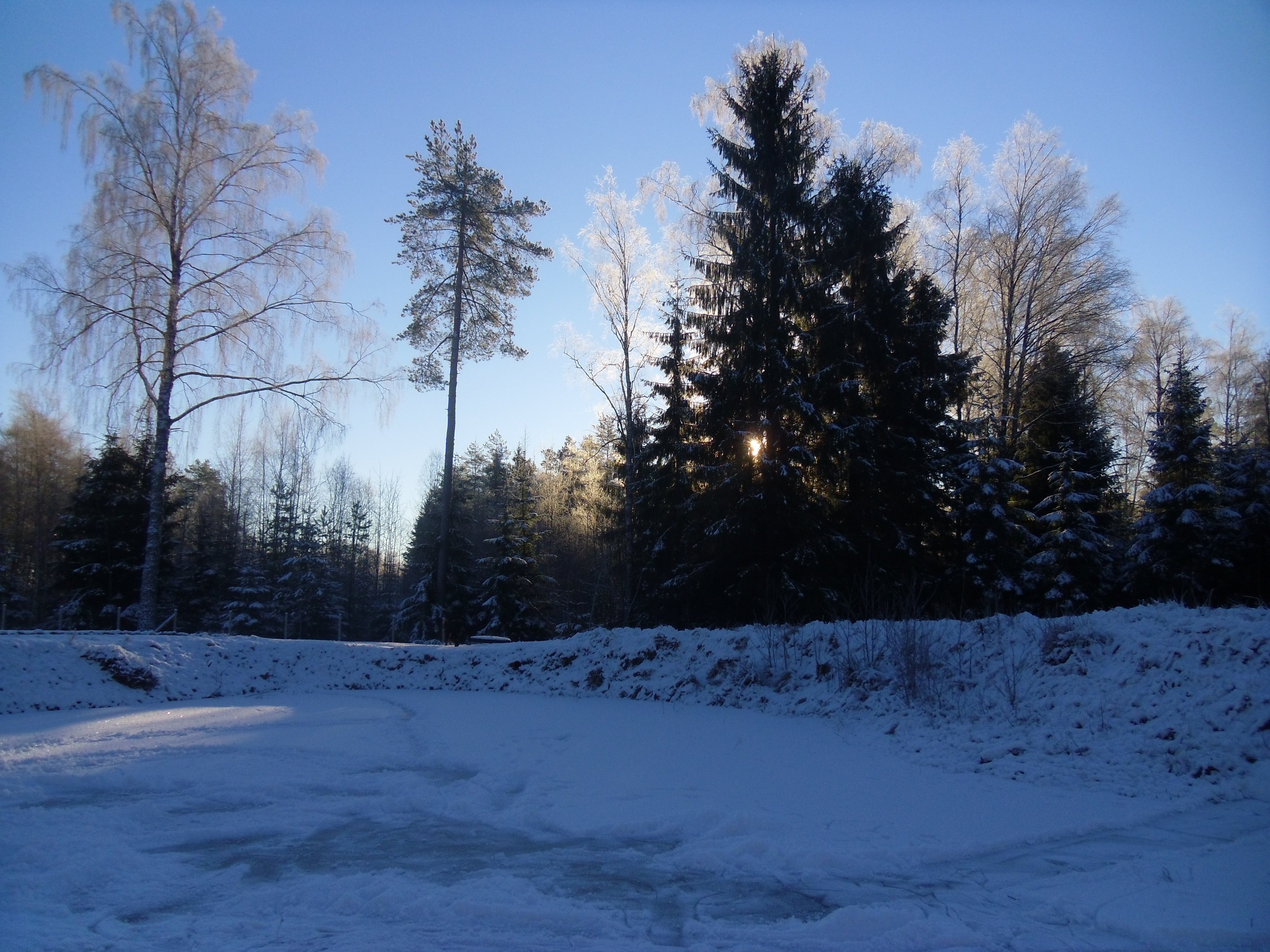 SAM_1356