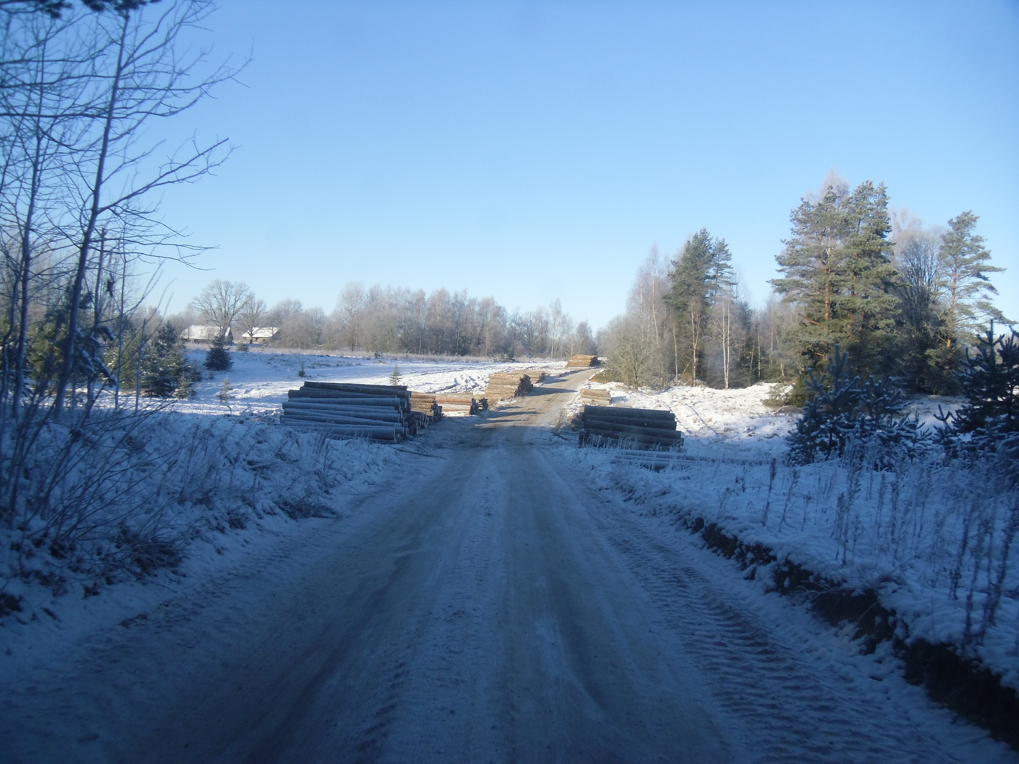 SAM_1375