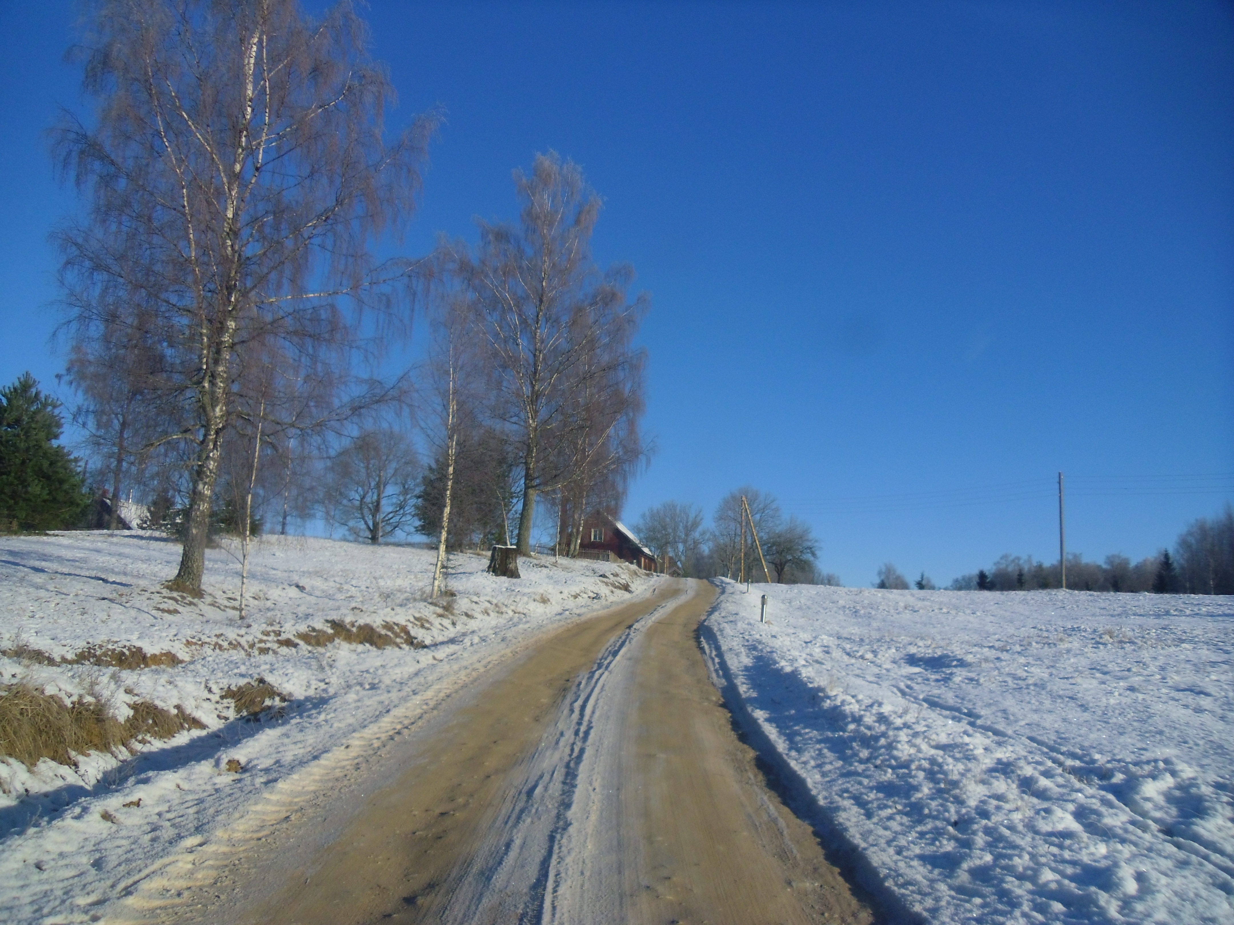SAM_1376
