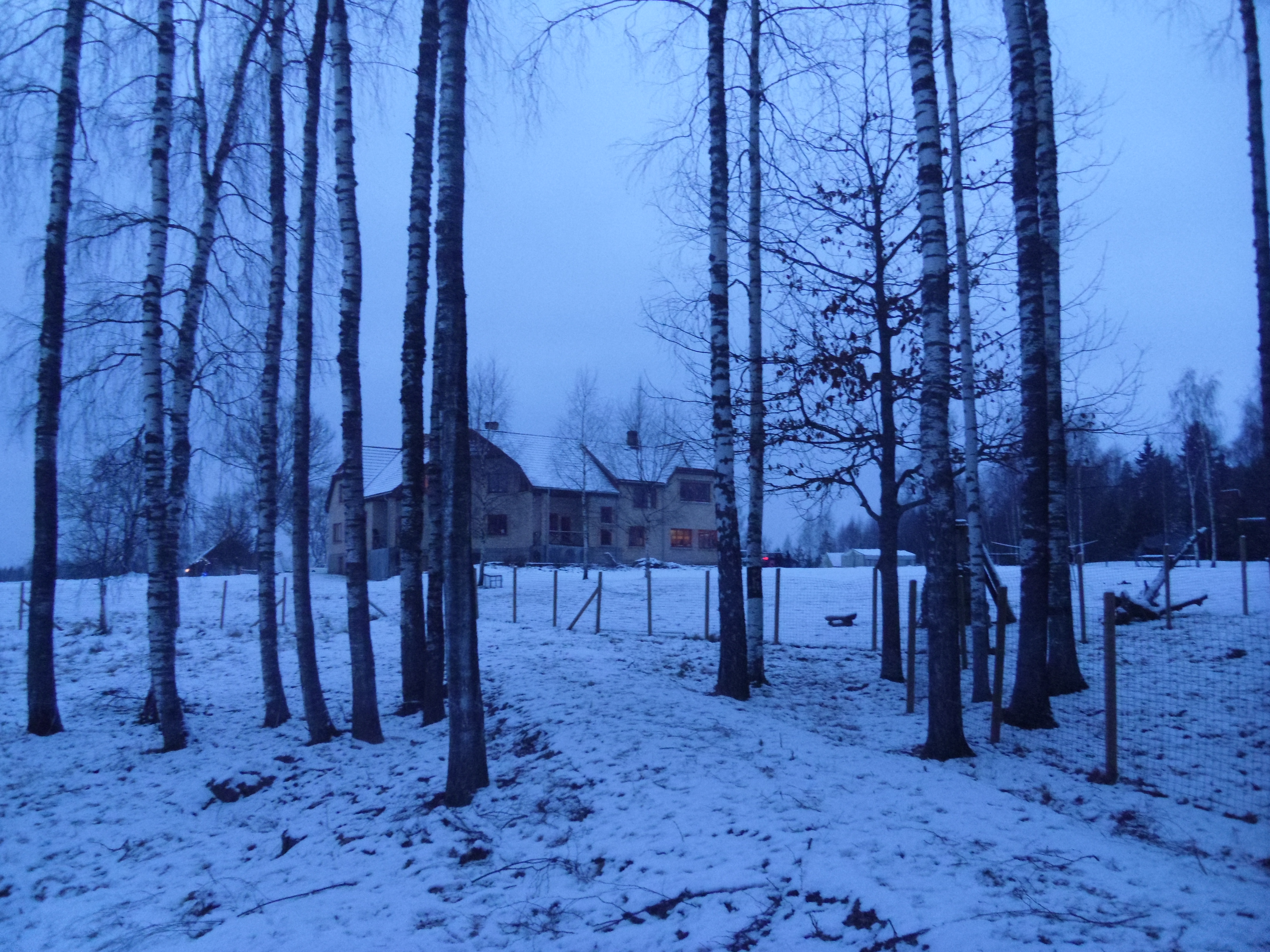 SAM_1462