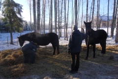 SAM_1385