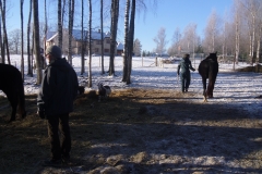 SAM_1387