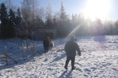 SAM_1388
