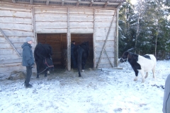 SAM_1390